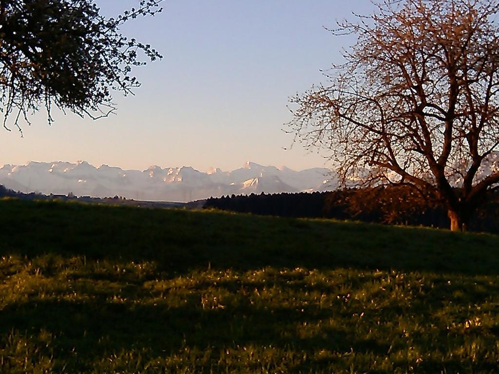 Apartment Bei Linda Beromünster Pokoj fotografie